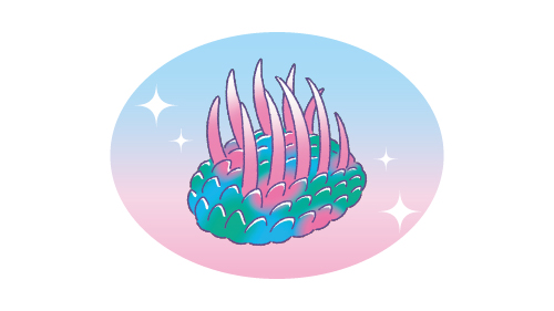 ウィワクシアカード