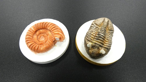 他団体連携_株式会社サン調整