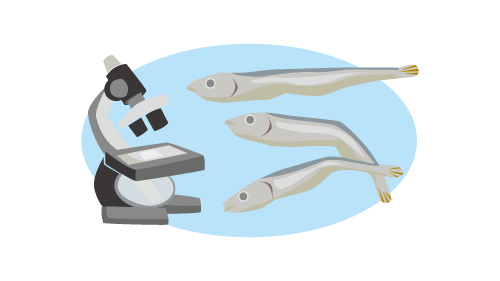 オトナときめくサイエンス3月