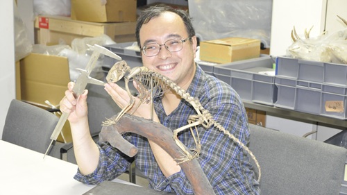 茶房解剖学HP用