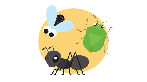 ギャラリー3月家の中のおじゃま虫