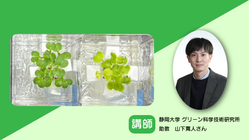 る・く・る×ラボ静大グリーン研【9月】